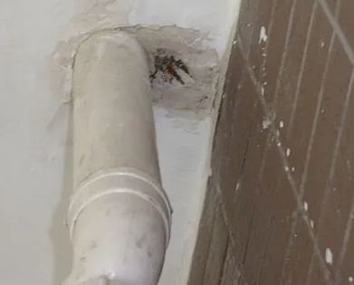 巴彦淖尔漏水检测哪家好